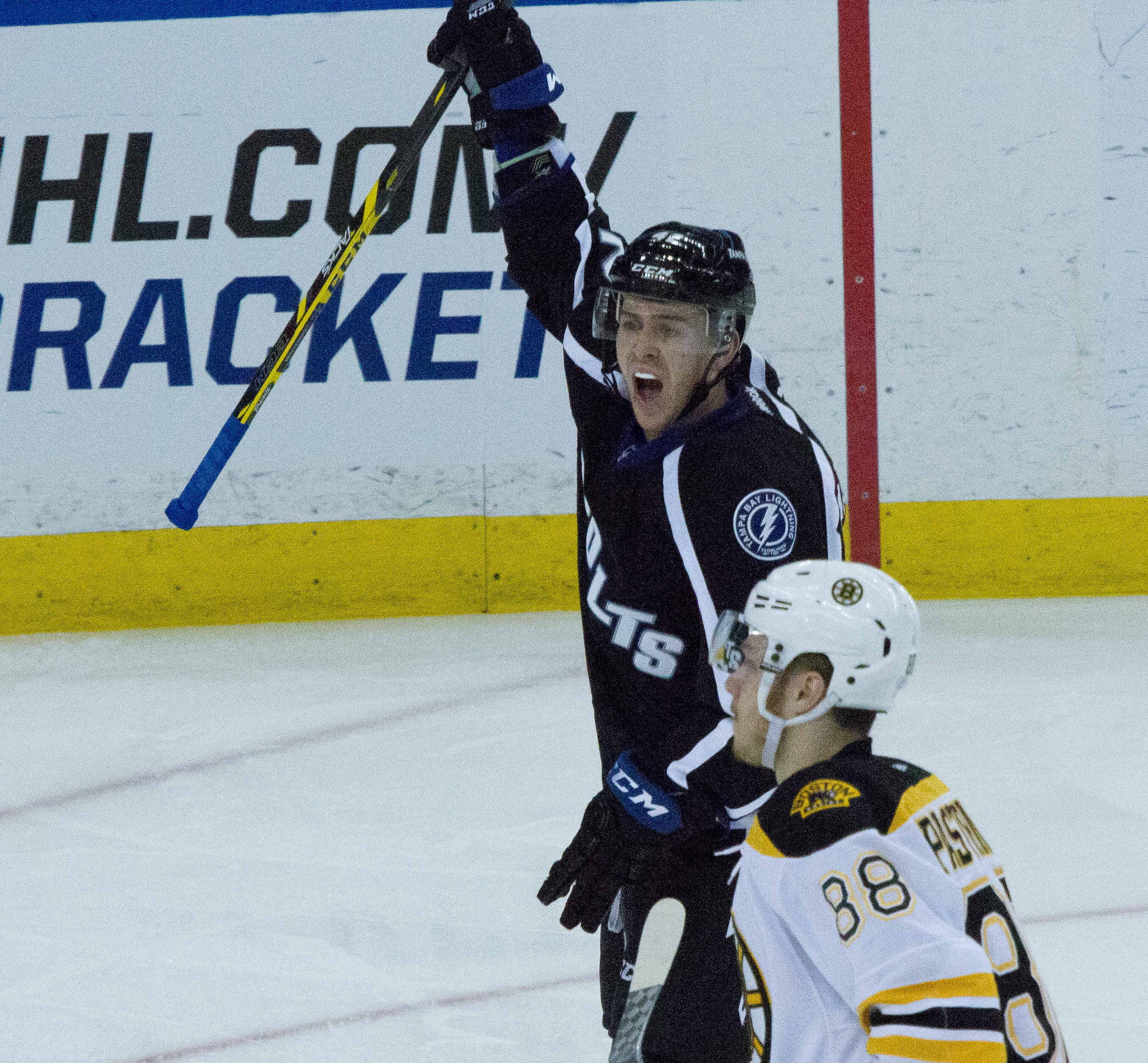 Newcomer Jonathan Marchessault celebrates his goal against the Bruins./JEFFREY S. KING
